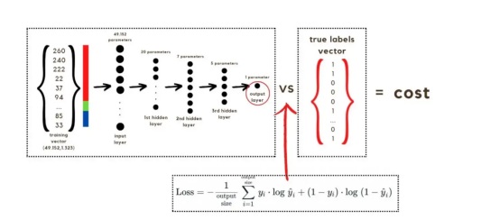 深度学习神经网络之图像分类应用实战