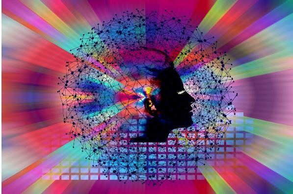 DeepMind最新研究：AI击败人类，设计出更好的经济机制｜Nature子刊