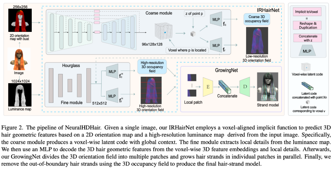 真的有这么丝滑：3D头发建模新方法NeuralHDHair，浙大、ETH Zurich、CityU联合出品