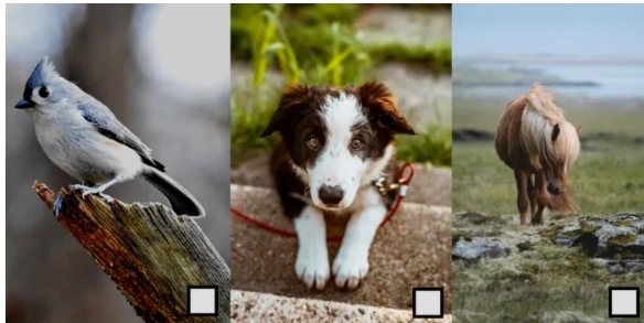 不要再「外包」AI 模型了！最新研究发现：有些破坏机器学习模型安全的「后门」无法被检测到