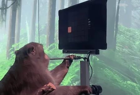 马斯克自称大脑上云,是科学还是骗术?