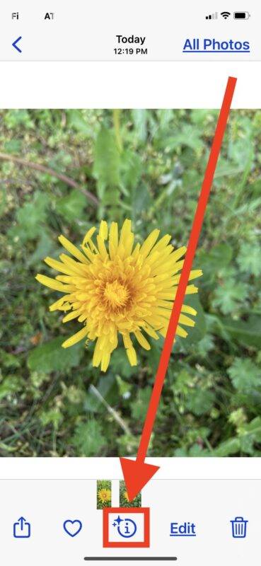 identify-plants-flowers-iphone-photo-siri-knowledge-1-369x800-1