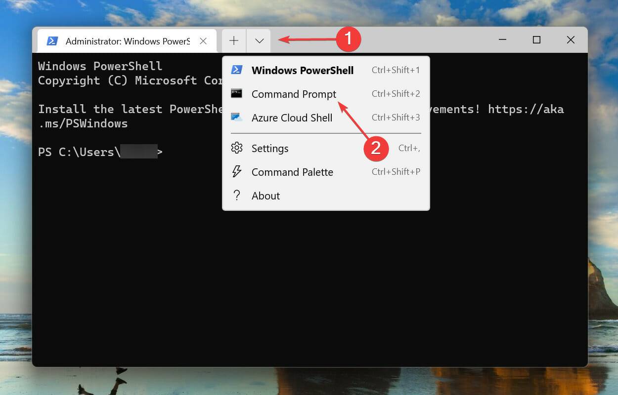 WindowsTerminal_txBOaO5gY3
