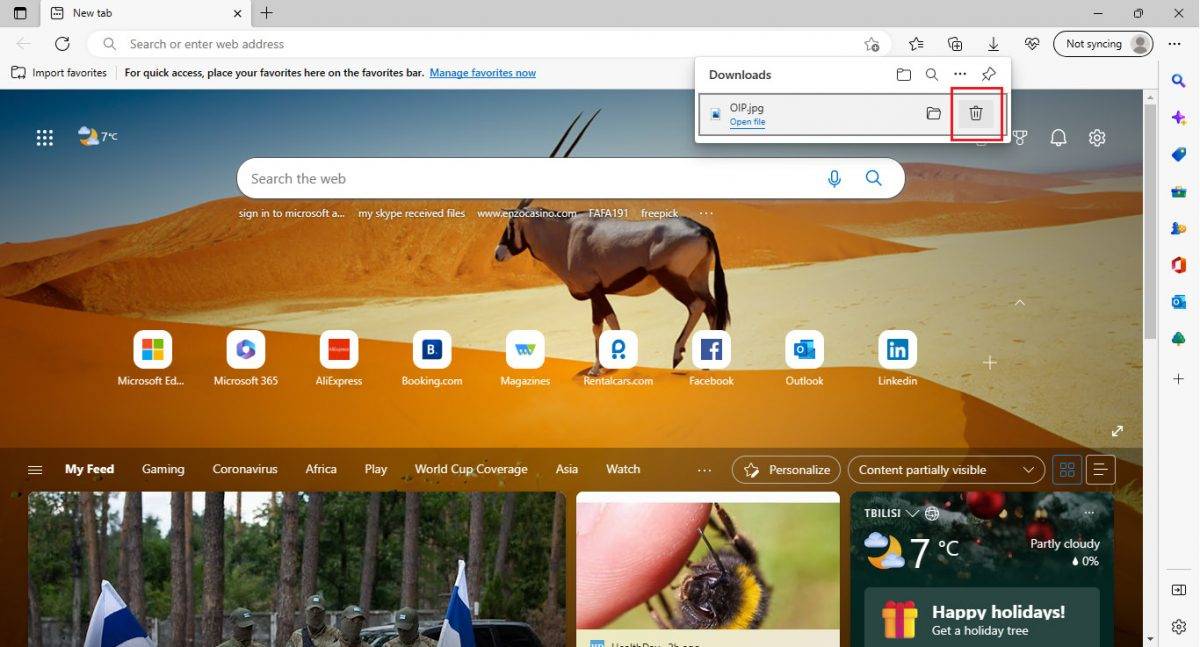 Microsoft Edge 如何查看和清除下载历史记录?