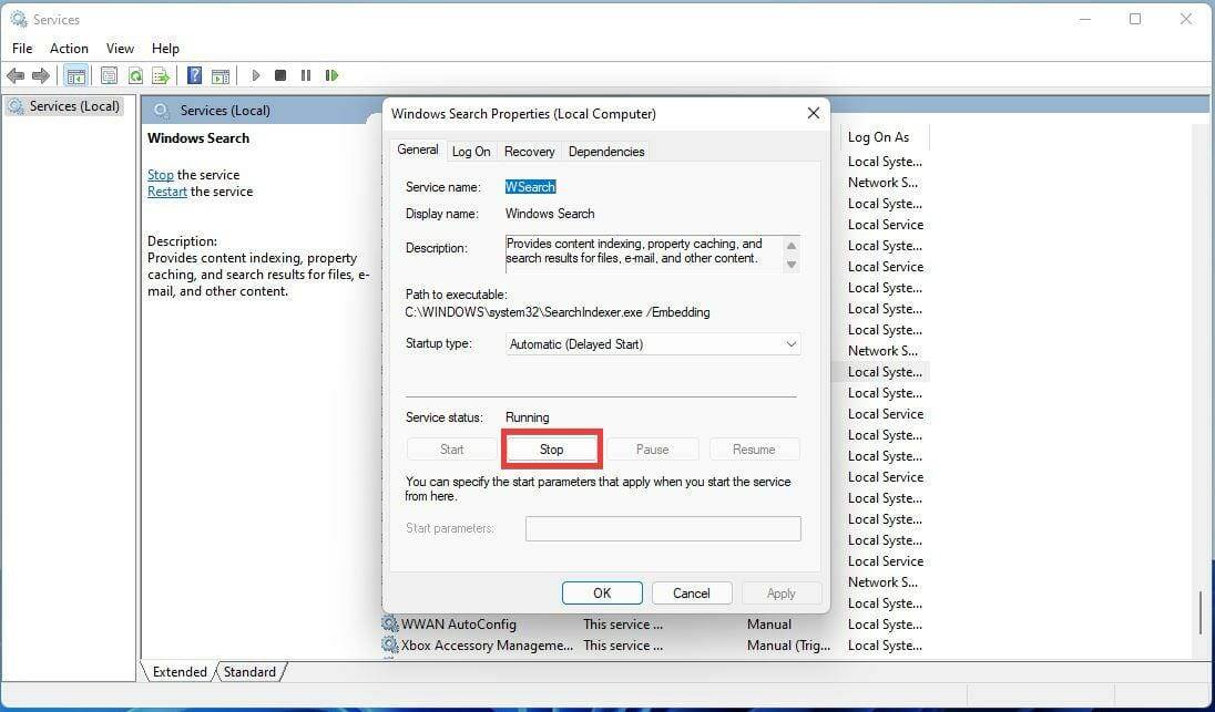 如何禁用 Windows 11 上的搜索功能