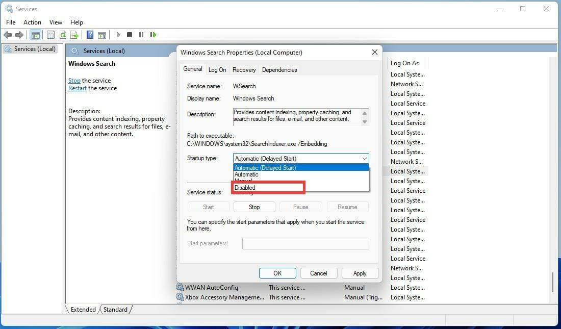 如何禁用 Windows 11 上的搜索功能