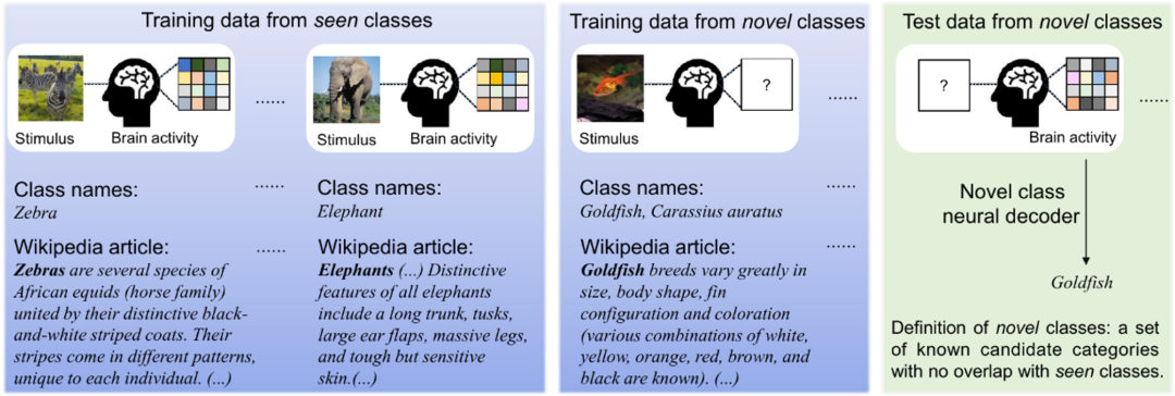 中科院自动化所研发多模态学习模型用于无创解码大脑信号语义