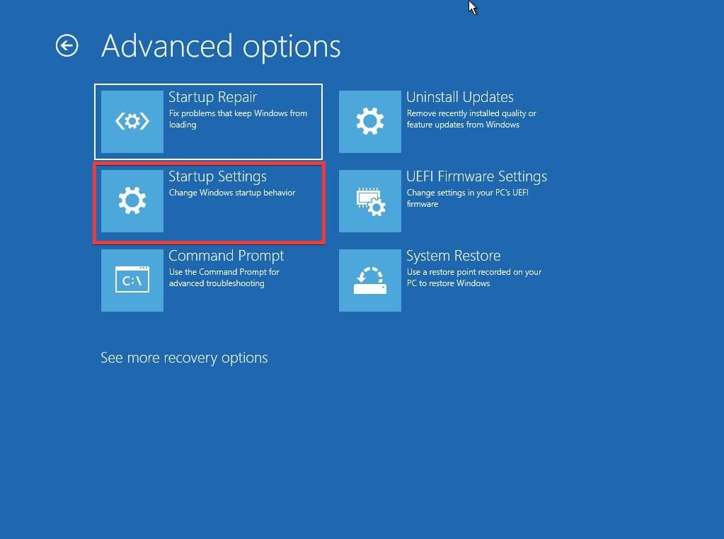 advanced-options-screen-3-edited-startup-settings