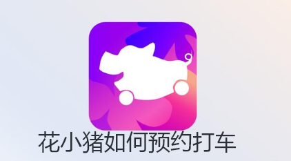 花小猪如何预约打车