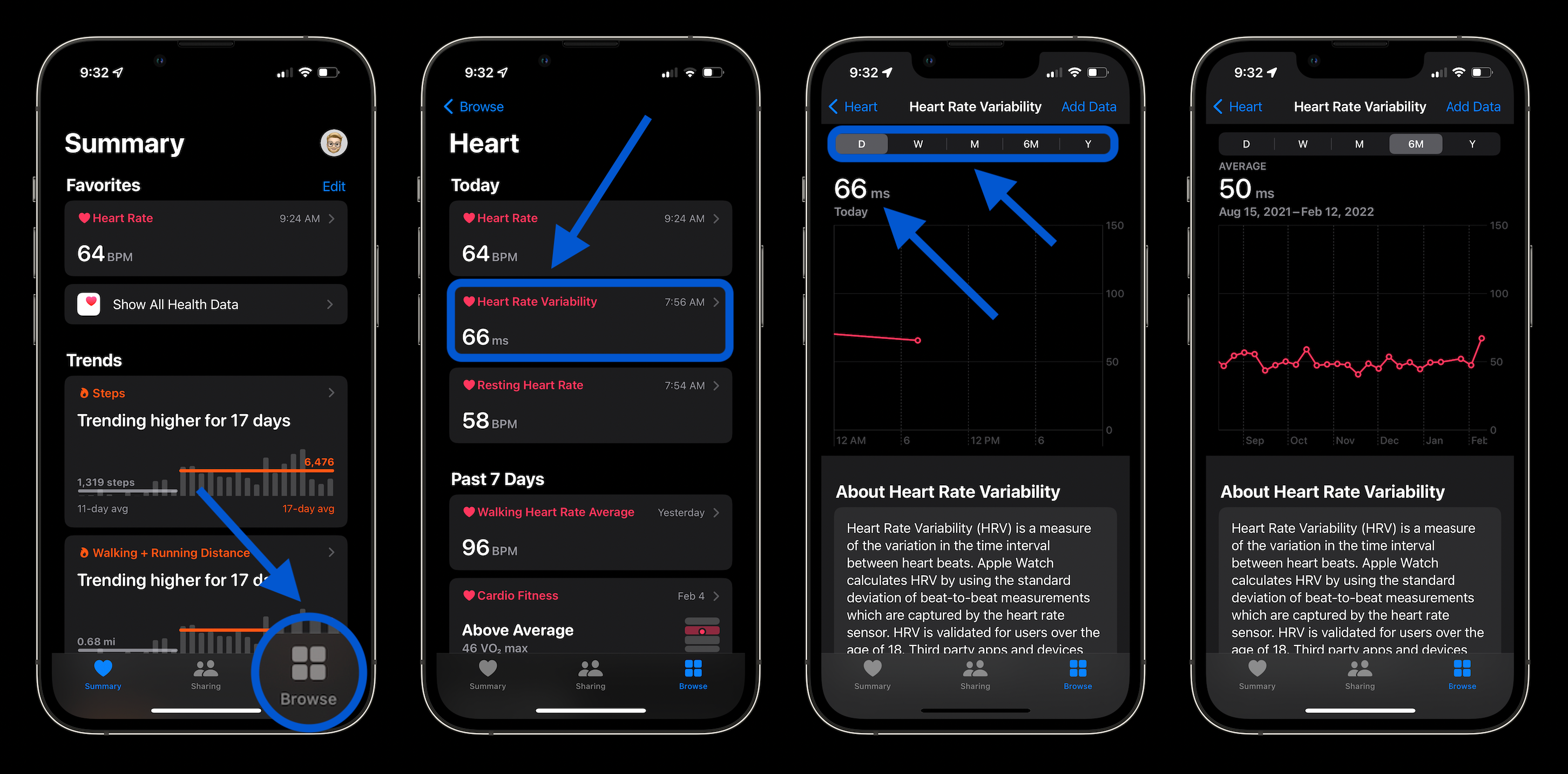 how-to-record-view-hrv-with-apple-watch-iphone