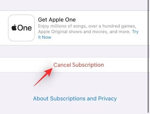 iphone-how-to-cancel-subscriptions-2022-resized-28