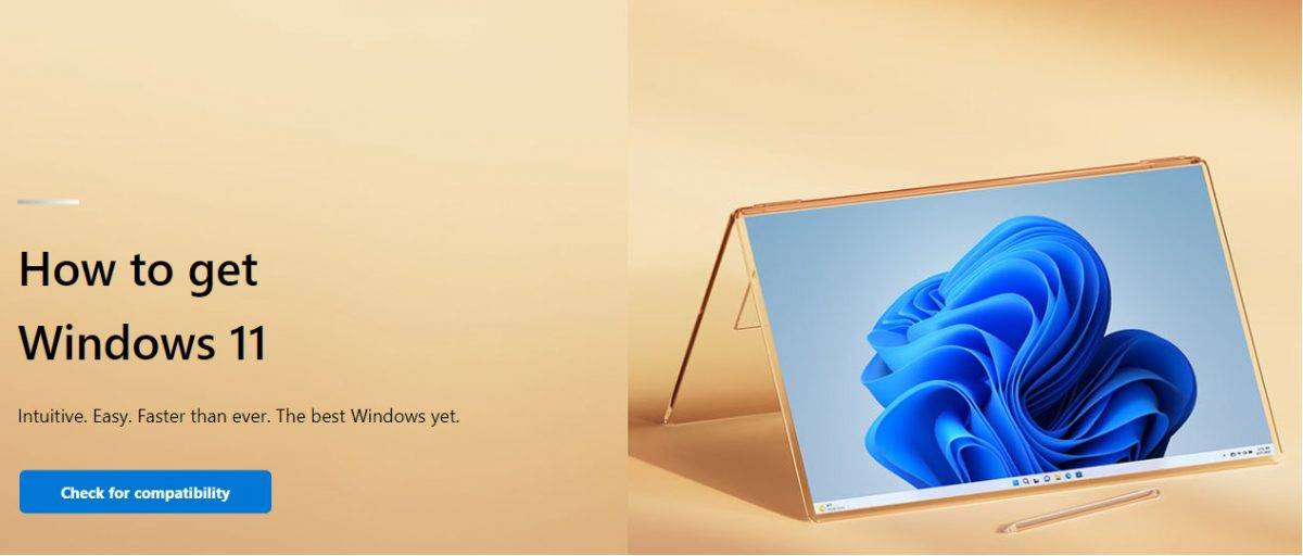 如何强制立即更新和升级 Windows 11？