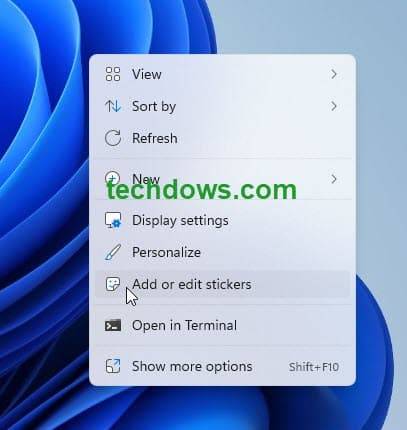 如何在 Windows 11 中启用或禁用桌面上的贴纸
