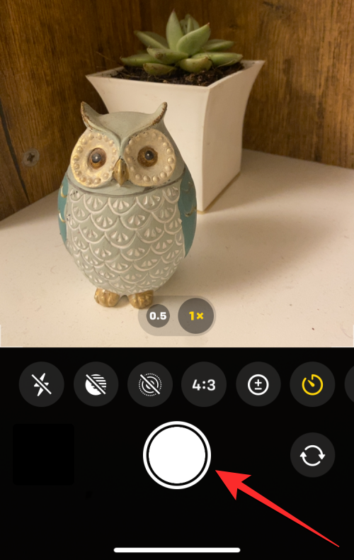 如何在 iPhone 相机上设置定时器