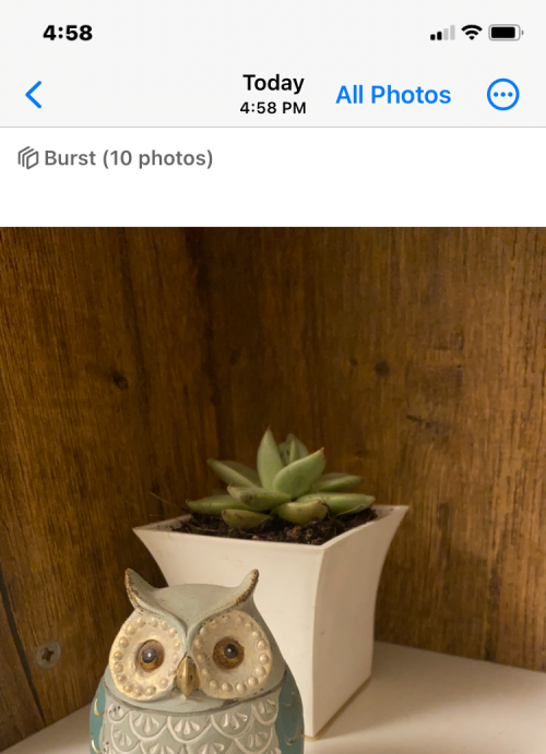 如何在 iPhone 相机上设置定时器