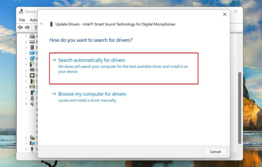 Win11杜比全景声无法正常运行如何解决