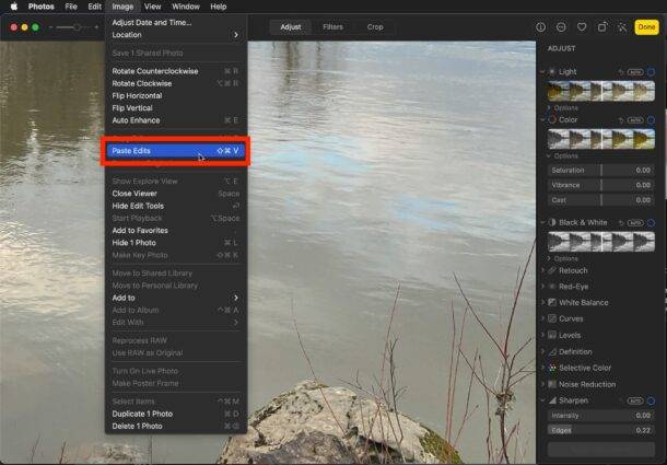copy-paste-photos-edits-mac-photos-app-2-610x425-1
