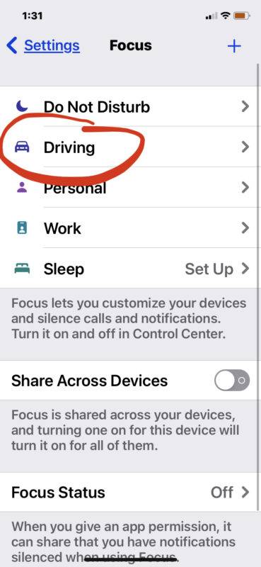 如何删除 iPhone 和 iPad 上的对焦模式