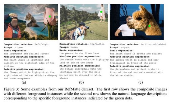 深度学习又有新坑了!悉尼大学提出全新跨模态任务,用文本指导图像进行抠图