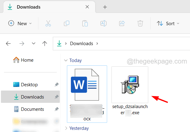 DayZlauncher-setup-file_11zon