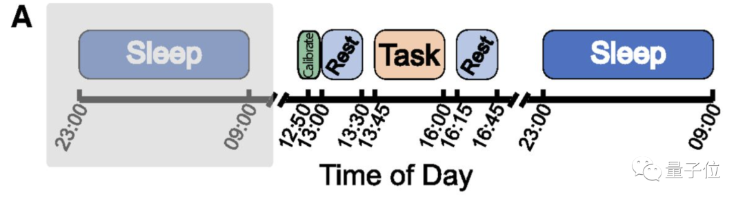 你睡觉时大脑真在自动学习!首个人类实验证据:加速1-4倍重放 你睡觉时大脑真在自动学习!首个人类实验证据:加速1-4倍重放