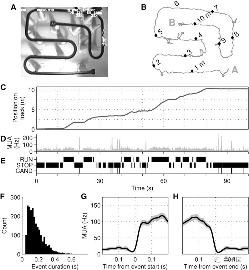 你睡觉时大脑真在自动学习!首个人类实验证据:加速1-4倍重放 你睡觉时大脑真在自动学习!首个人类实验证据:加速1-4倍重放