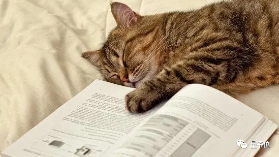 你睡觉时大脑真在自动学习！首个人类实验证据：加速1-4倍重放