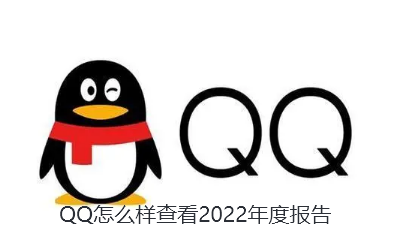 QQ怎么样查看2022年度报告