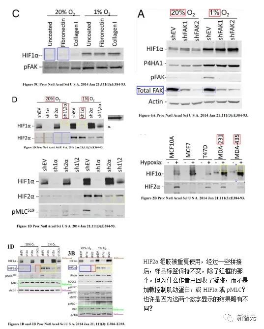 专治「图片误用」！Elsevier、Nature等顶刊用AI揪出作弊科学家