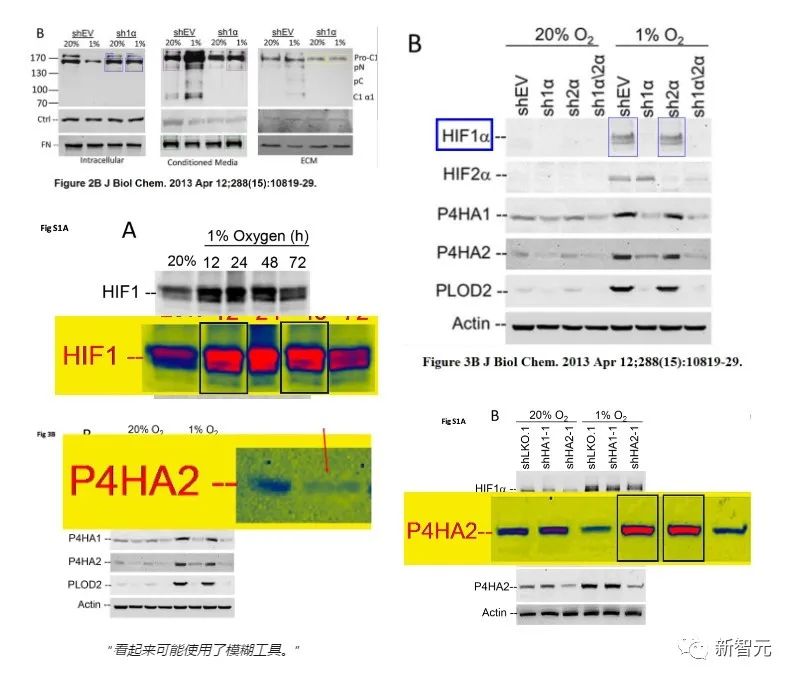 专治「图片误用」！Elsevier、Nature等顶刊用AI揪出作弊科学家