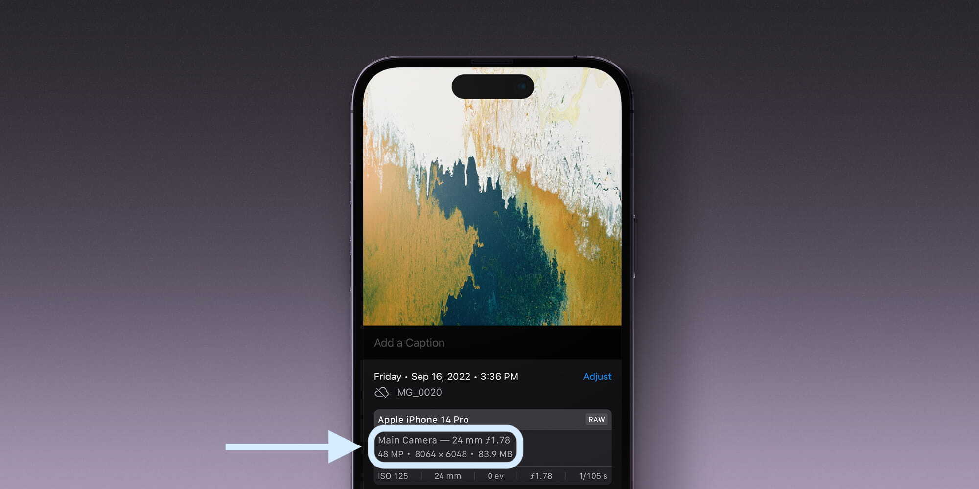 如何充分利用 iPhone 14 Pro 的 48MP 相机拍摄?
