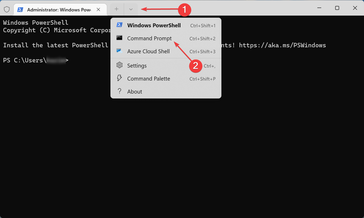 WindowsTerminal_WQuMbNRtdm