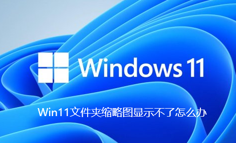 Win11文件夹缩略图显示不了怎么办-Win11文件夹缩略图显示不了解决办法