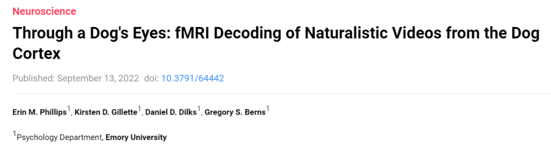 狗狗如何看世界？人类研究员要解码狗脑中的视觉认知