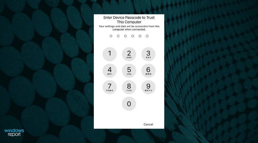 Untitled-design-2022-01-31T184308.268