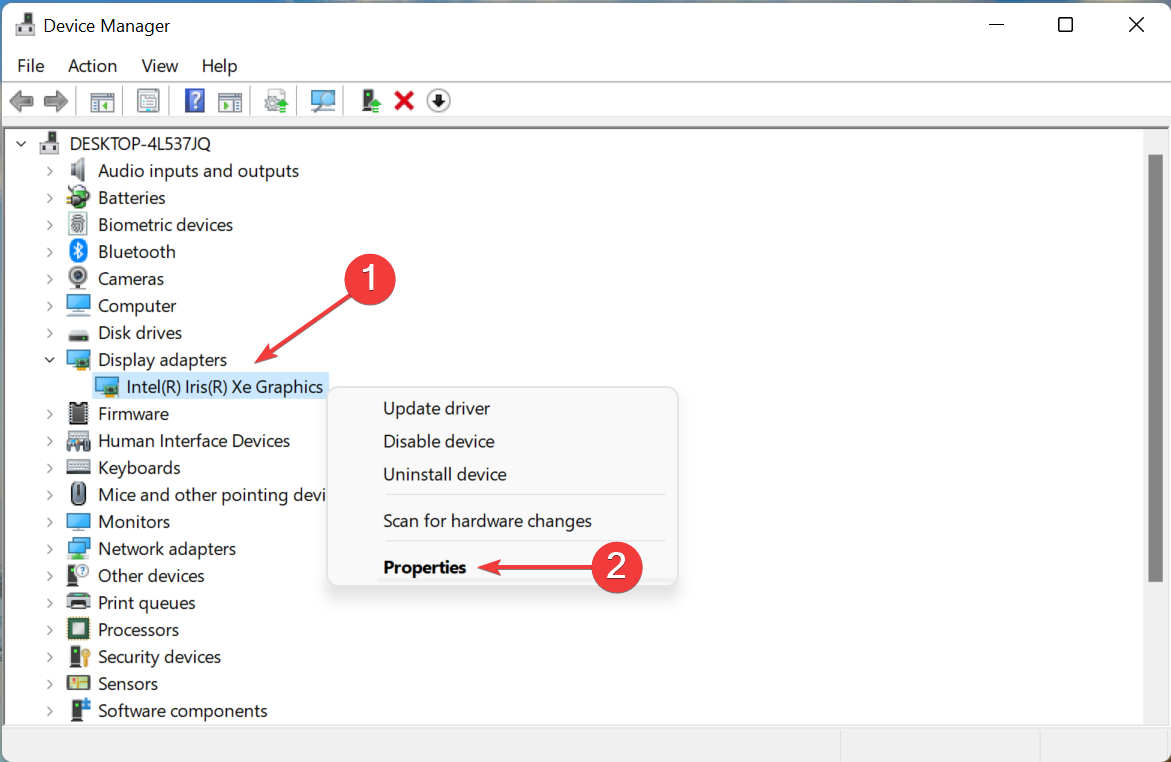如何修复 Windows 11 中的视频驱动程序问题