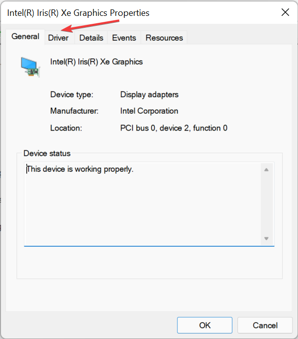 如何修复 Windows 11 中的视频驱动程序问题