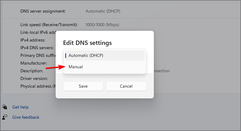 manual-dns