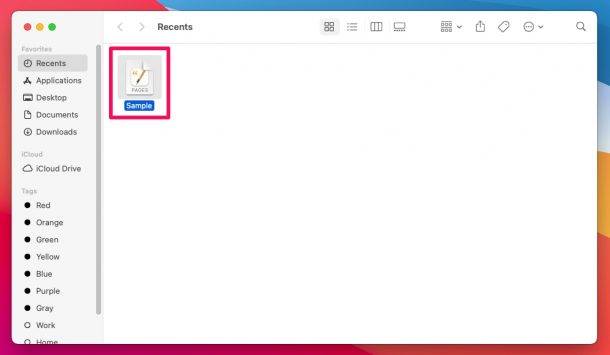 如何在 Mac 上对页面、主题演讲和数字文档进行密码保护