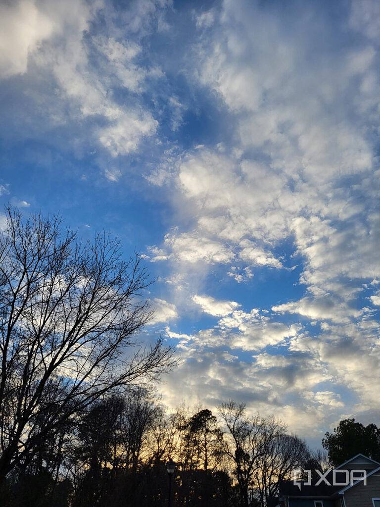 S21-FE-main-camera-1-768x1024-1