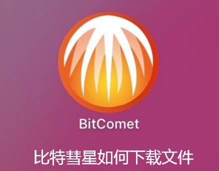 比特彗星如何下载文件