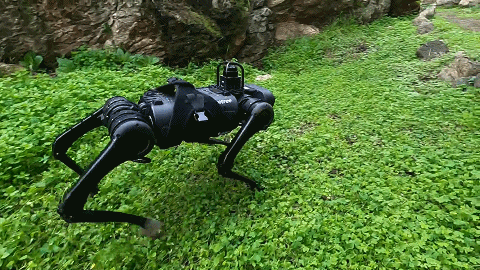 李飞飞划重点的「具身智能」，走到哪一步了？