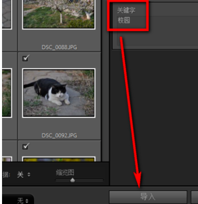 Lightroom给照片加上关键字的操作方法