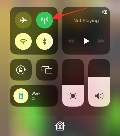 iphone-cellular-data