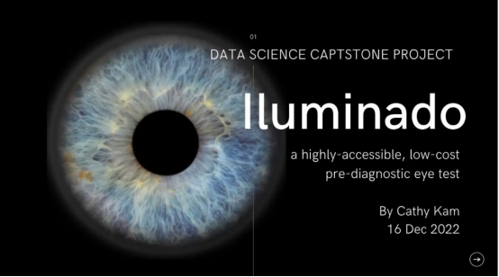 视网膜图像分类的深度集成学习算法