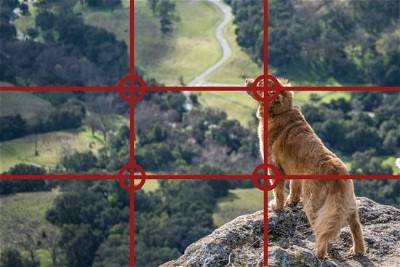 成为 iPhone 14 Pro 拍照专家的23个关键技巧