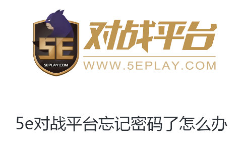 5e对战平台忘记密码了怎么办-5e对战平台忘记密码了解决方法