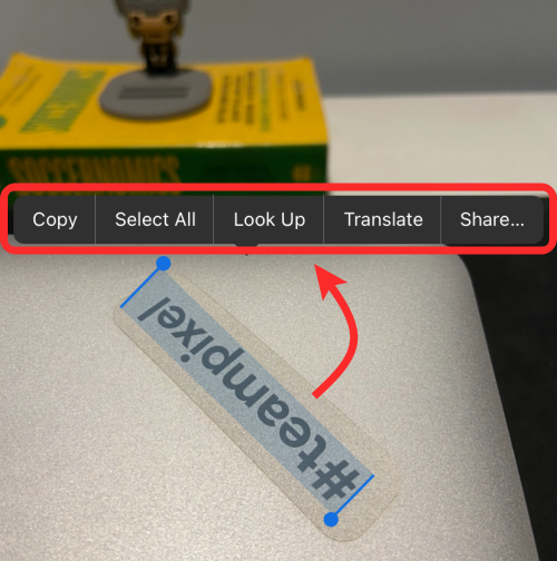 iOS 15 实时文本不起作用?如何修复和扫描图片中的文本