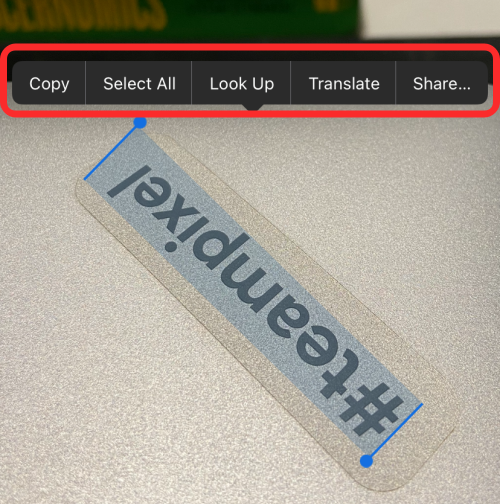 iOS 15 实时文本不起作用?如何修复和扫描图片中的文本