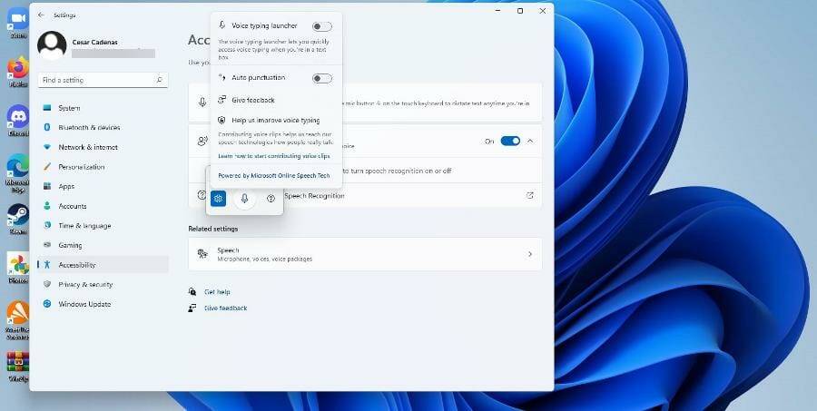在 Windows 11 上使用文本转语音和语音识别
